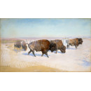 РЕПРОДУКЦИИ НА КАРТИНИ Емиграцията на бизоните (1896)